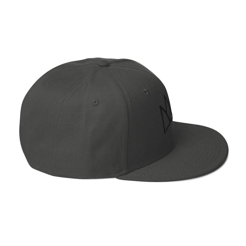 Black and Purple Crown Snapback Hat
