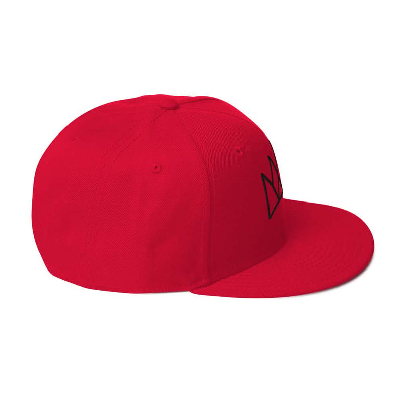 Black and Purple Crown Snapback Hat